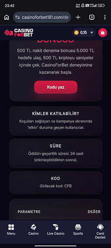 1000013072
