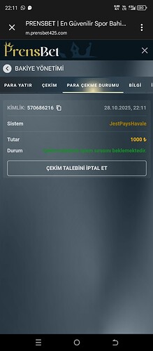 Screenshot_20251028-221156